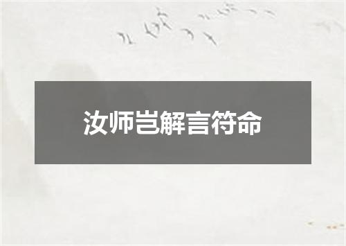 汝师岂解言符命