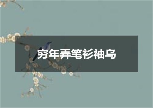 穷年弄笔衫袖乌