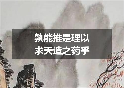 孰能推是理以求天造之药乎