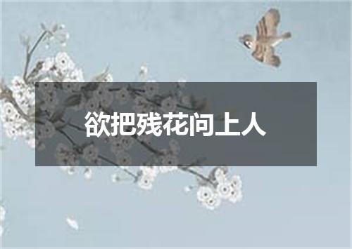 欲把残花问上人