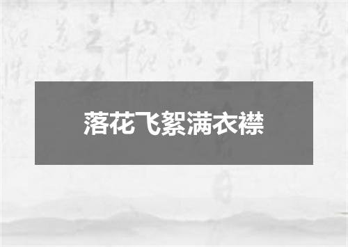落花飞絮满衣襟