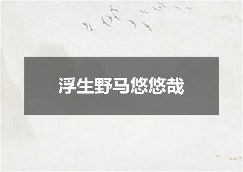浮生野马悠悠哉