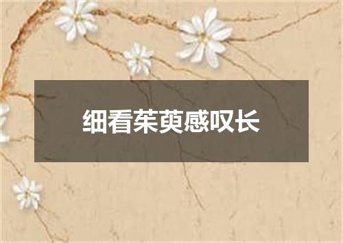 细看茱萸感叹长