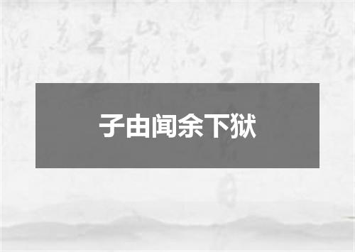 子由闻余下狱