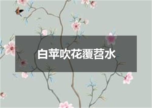 白苹吹花覆苕水