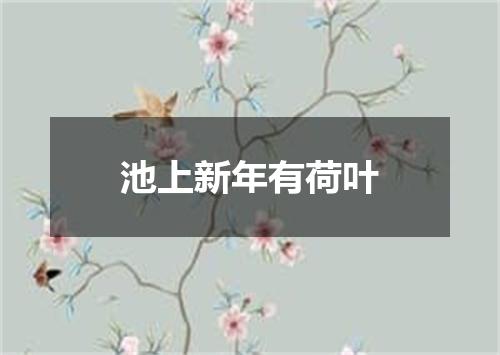 池上新年有荷叶