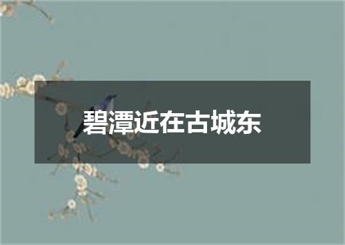 碧潭近在古城东