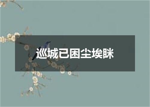 巡城已困尘埃眯