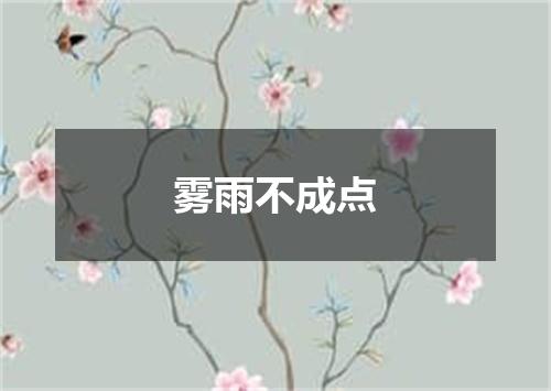 雾雨不成点