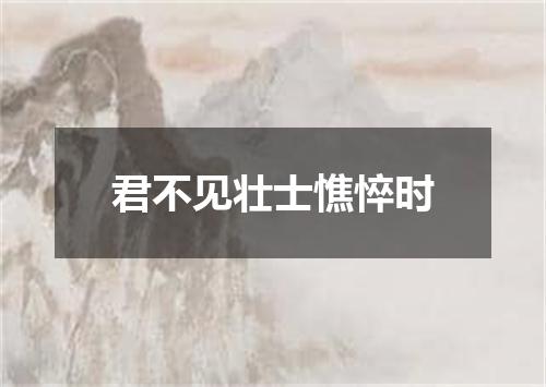 君不见壮士憔悴时