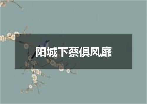阳城下蔡俱风靡