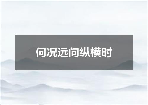 何况远问纵横时