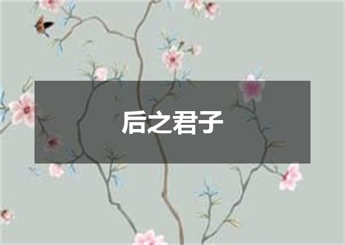 后之君子