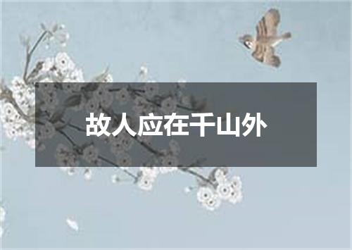 故人应在千山外