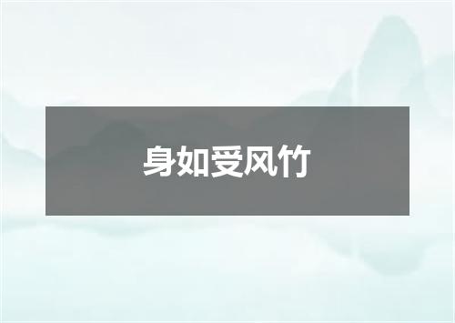 身如受风竹