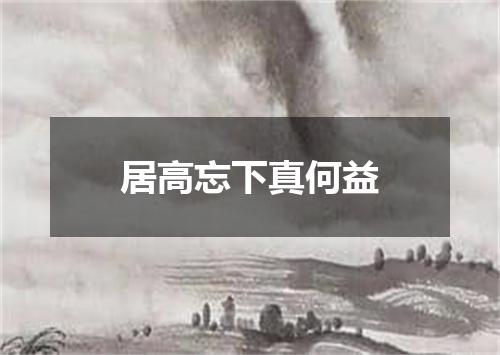 居高忘下真何益