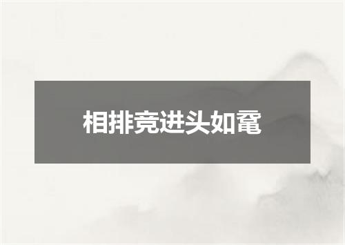 相排竞进头如鼋