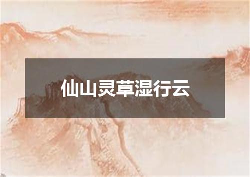 仙山灵草湿行云
