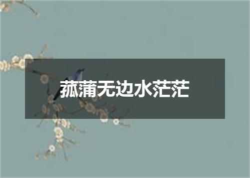 菰蒲无边水茫茫