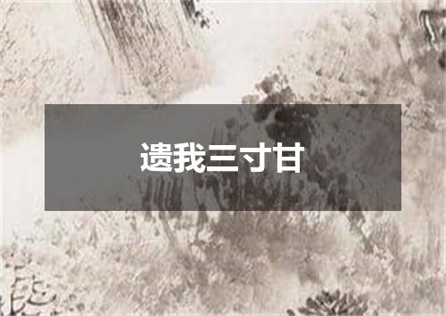 遗我三寸甘