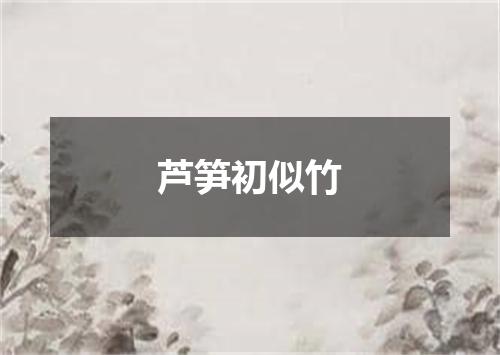 芦笋初似竹