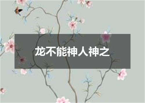 龙不能神人神之
