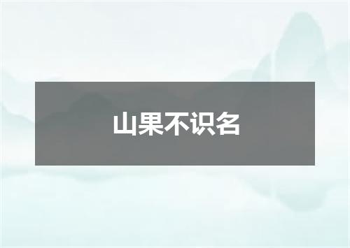 山果不识名