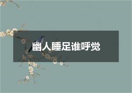 幽人睡足谁呼觉