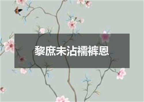 黎庶未沾襦裤恩