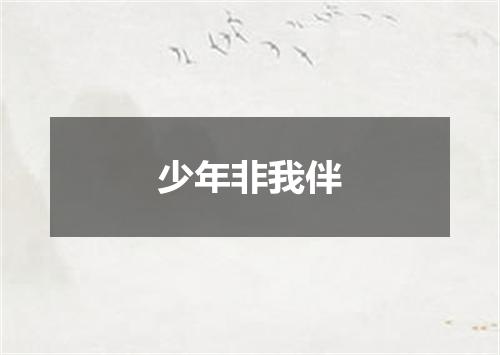 少年非我伴