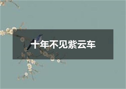 十年不见紫云车