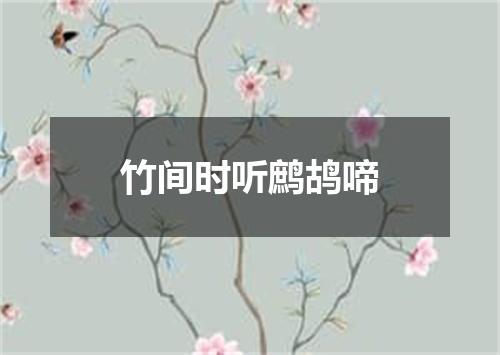 竹间时听鹧鸪啼