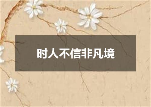 时人不信非凡境