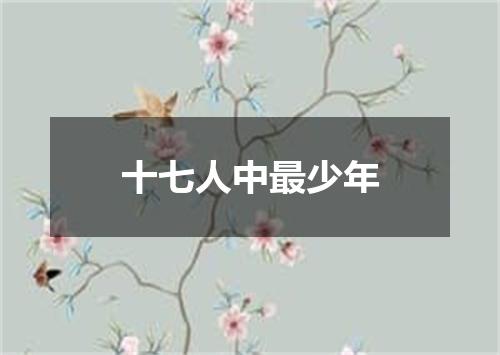 十七人中最少年