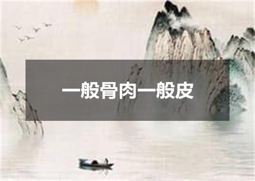 一般骨肉一般皮