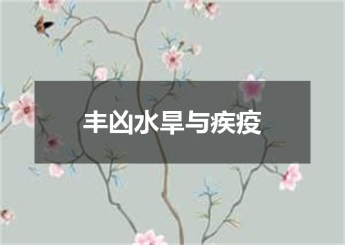 丰凶水旱与疾疫