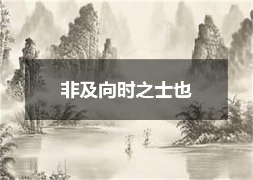 非及向时之士也