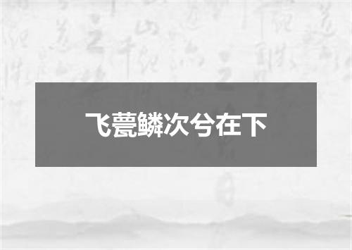 飞甍鳞次兮在下