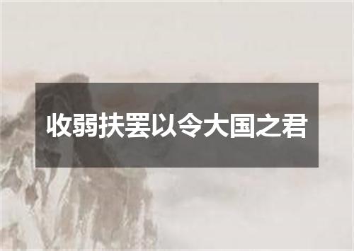 收弱扶罢以令大国之君
