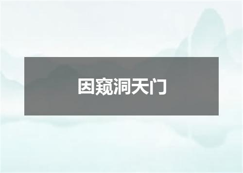 因窥洞天门