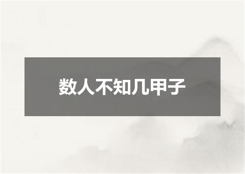 数人不知几甲子