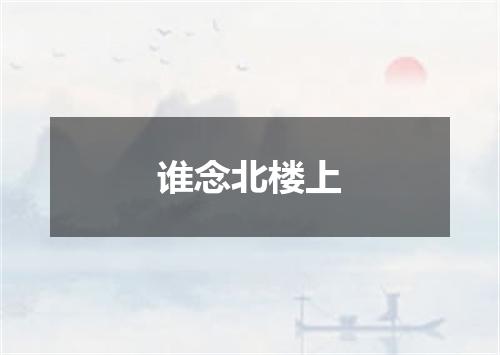 谁念北楼上