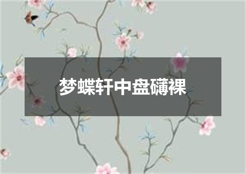 梦蝶轩中盘礴裸