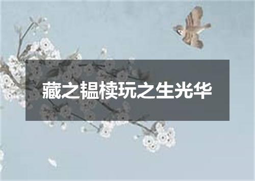 藏之韫椟玩之生光华