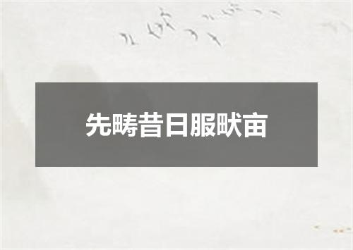 先畴昔日服畎亩