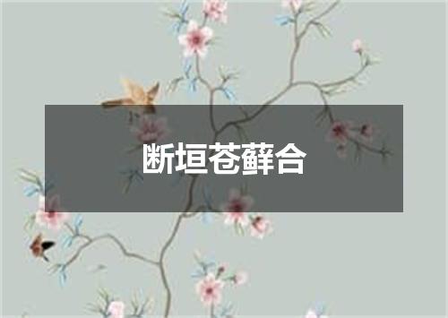 断垣苍藓合