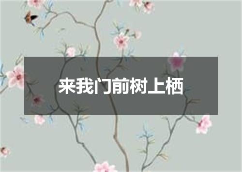 来我门前树上栖
