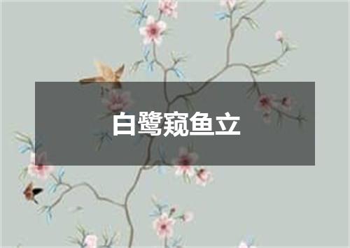 白鹭窥鱼立