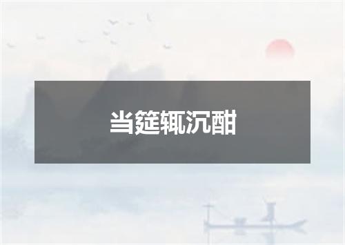 当筵辄沉酣
