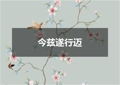 今兹遂行迈